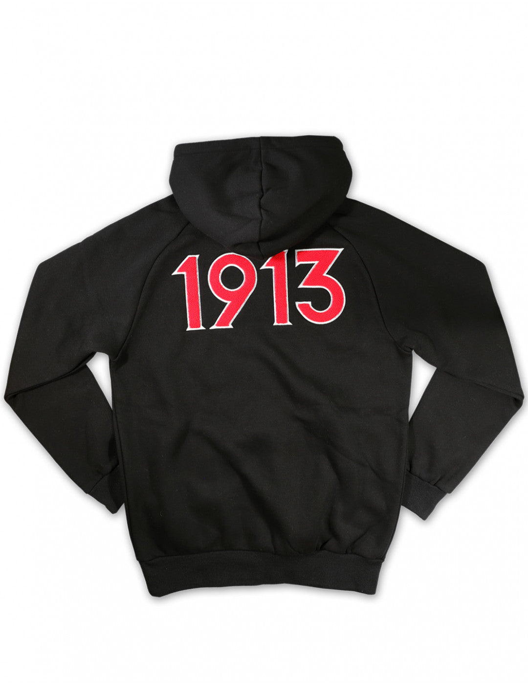 New 1913 Fall Chenille Hoodie